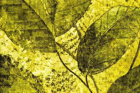 Print Texture Of Colorful Fabric Wallpaper Surfaceの写真素材