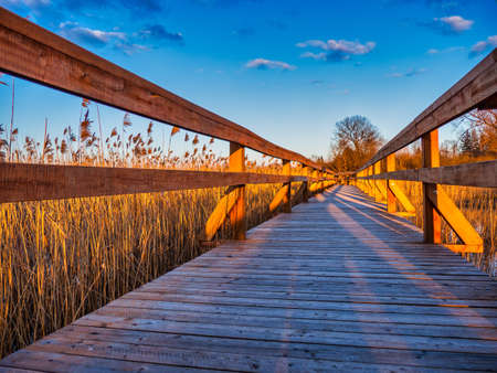 Boardwalk Path Through the Wetlands in National Parkの写真素材
