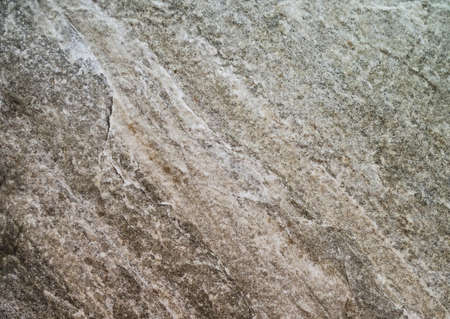 White and Gray Slate Background or Textureの写真素材