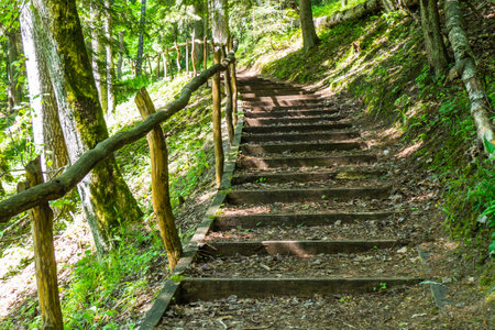 Natural Wooden Stairs Complimented by Gravel Among the Treesの写真素材