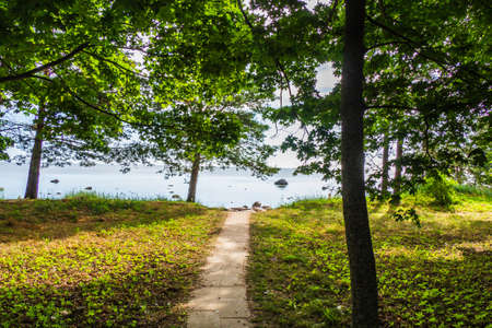 Stone Walkway Through the Forest to the Beach.の写真素材