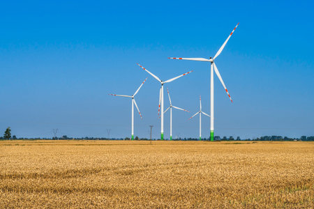 Windmills for Electric Power Production Surrounded by Agricultural Fields