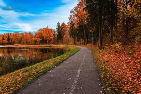autumn season in the city park with walking path near the lakeの写真素材