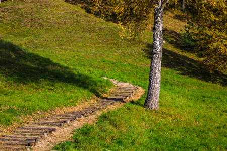 a wooden footpath leads to the hill at autumnの写真素材