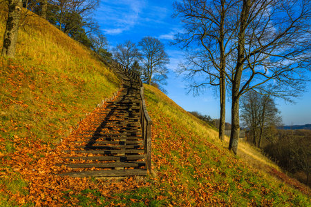wooden stairs or steps going up to the hill