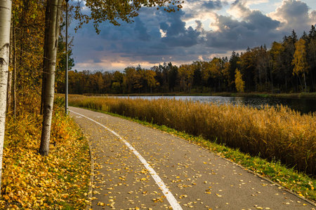 walkway in the city park and lakeの写真素材