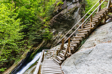 Wooden walking path at Resov waterfalls in the Czech Republic.の写真素材