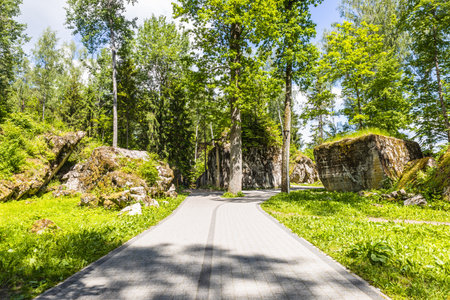 Ruins of building in the Wolf's Lair. Former war headquarters of Adolf Hitler in Poland.のeditorial素材