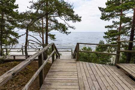 A wooden platform near the Baltic sea in Latvia.の写真素材