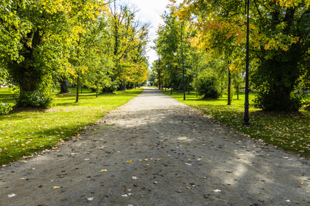 Scenic view of a city park with green trees.の写真素材
