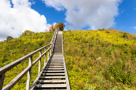 Wooden stairs in the middle of nature to climb up or go down.の写真素材