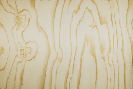 Light Wood Grain Wall Covering with Natural Texture and Subtle Pattern Detail