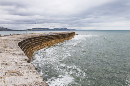 The Cobb Harbour Wall at Lyme Regis, Dorset. Curved Breakwater and Waves, Jurassic Coastの写真素材