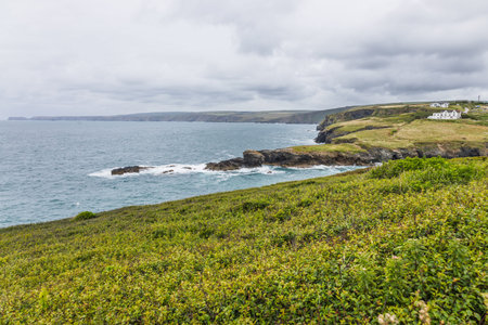 Port Isaac Coastline, Cornwall. Rugged Clifftop Pastures and Atlantic Wavesの写真素材