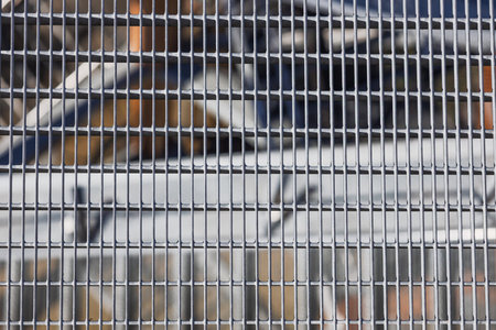 Stainless steel security fence with vertical bars and tension bracing