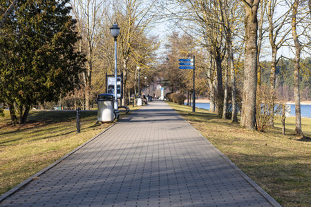 Tree lined paved park path along waterfront with benches and lamppostsの写真素材