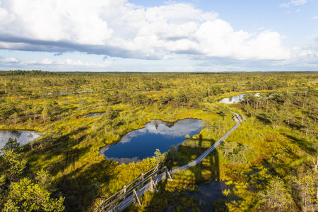 Aerial boardwalk over Kemeri Bog lakes, Latvian peatland in Kemeri National Parkの写真素材