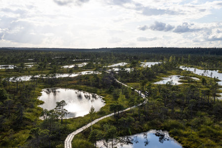 Drone panorama of Kemeri Bog boardwalk and pools, Jurmala, Latvias raised peatlandの写真素材