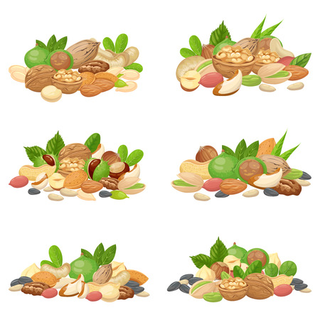 Nuts bunch. Fruit kernels, dried almond nut and cooking seeds. Cellulose food macadamia, walnut and grain nuts. Agriculture diet seeding mix cartoon isolated vector icons setのイラスト素材