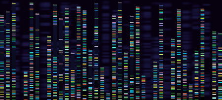 Genomic analysis visualization. Dna genomes sequencing, deoxyribonucleic acid genetic map and genome sequence analyse. Bioinformatics forensics data or dna radiographic testing vector conceptの素材 [FY310118727448]