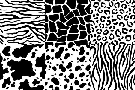 Animal skin pattern. Wildlife zebra texture, tiger skin stripes and leopard spots. Animals textures seamless patterns, exotic clothes printing or wallpaper texture vector setのイラスト素材