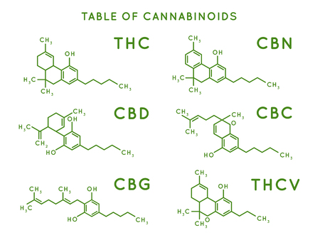 Cannabinoid structure. Cannabidiol molecular structures, THC and CBD formula. Marijuana or cannabis molecules, cannabidiol biochemistry medicinal structuring vector illustrationのイラスト素材
