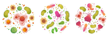 Bacteria and germ in circle. Bacterias, disease cells and germs in round frame. Human diseases cartoon vector illustration set. Bacteria biology, bacterium virus, microorganism infectionのイラスト素材