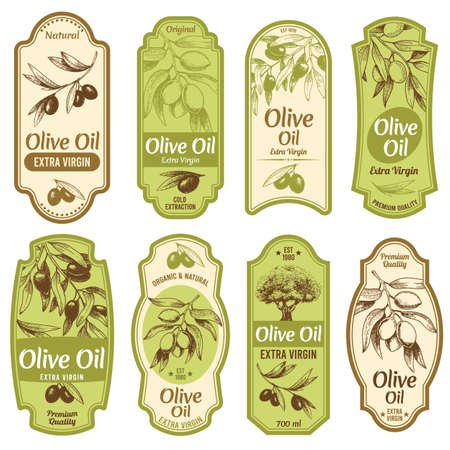 Olive oil label. Premium extra virgin oils, black olives on branches with leaves and hand drawn olive tree sketch vector illustration set. Olive virgin oil, organic emblem collectionのイラスト素材