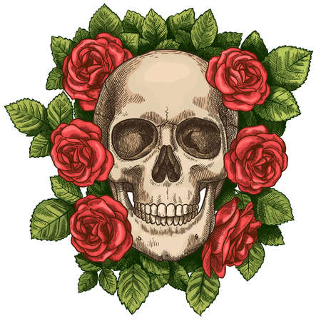 Skull and roses. Dead skeleton head and red flowers, hand drawn gothic tattoo graphic. Vintage scary halloween death sketch vector symbol. Colorful blossom and green foliage around headのイラスト素材