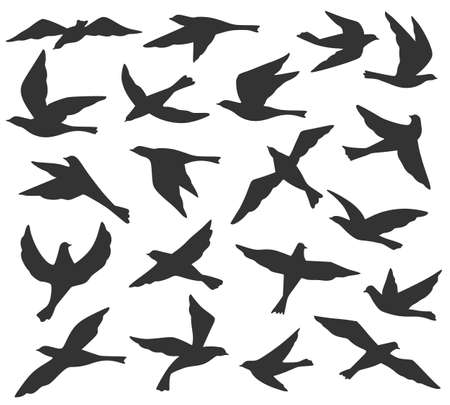 Bird silhouettes. Flying birds flock, animal wildlife migration, doves soar in sky. Black tattoo templates vector set. Pigeons in different positions collection isolated on white illustrationのイラスト素材