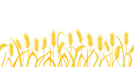 Cartoon farm field background with golden wheat spikes. Agriculture cereal crop ears. Rural scene with grain harvest vector border patternのイラスト素材