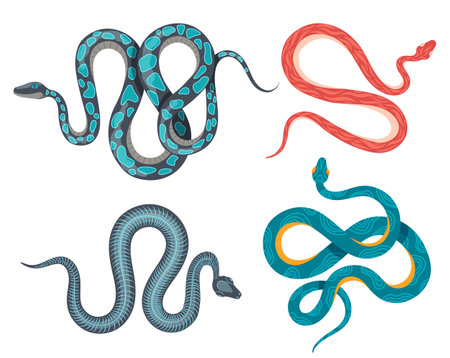 Mystic snakes. Poisonous esoteric animals with colorful skin. Dangerous coiled serpents scrawling. Wild exotic reptilesのイラスト素材