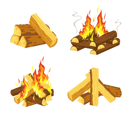 Set of wood campfire, camp bonfire isolatedのイラスト素材