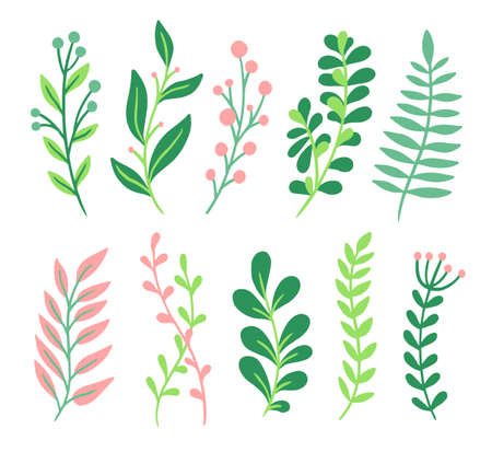 Decor leaves. Green and pink plant elements, organic garden foliage, botanical beautiful branches isolated on whiteのイラスト素材