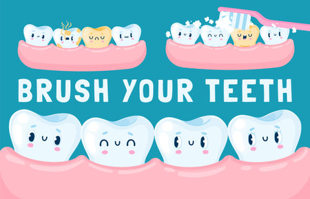 Teeth in the gum. Cartoon cute happy teeth characters for children dental poster, happy clean white tooth with friends. Vector illustrationのイラスト素材