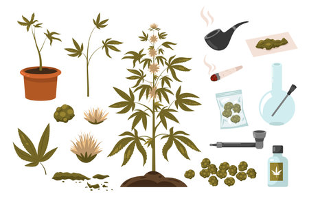 Marijuana drugs set. Hemp addiction elements hashish cigarette smoking bottle bong, green weed leaf, cannabis smoking equipment. Vector doodle collectionのイラスト素材