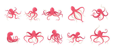 Cartoon octopus. Playful red octopus in various postures and expressions, underwater creature. Vector sea animal with tentacles collectionのイラスト素材
