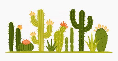 Mexican desert cactus green cartoon collection flora floraのイラスト素材