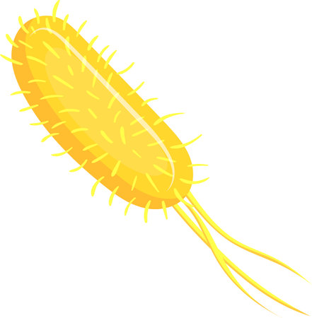 Salmonella bacteria with flagella and pili cause food poisoning symptoms like gastroenteritis, diarrhea, vomiting, and fever. Learn about microbiology and stay safe from these harmful germsのイラスト素材