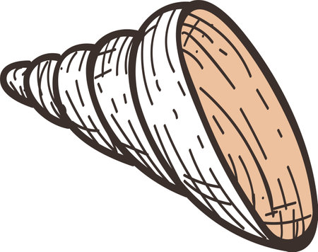 Hand drawn vector illustration of a seashell, featuring intricate details and textures, creating a realistic depiction of a marine treasureのイラスト素材