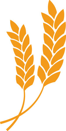 Two stylized wheat stalks in a vibrant golden orange hue crossing each other to form an X shape against a clean white background, symbolizing growth and harvestのイラスト素材