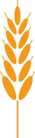 Stylized orange ear of wheat symbolizing agriculture, farming, healthy eating, organic food, and the importance of grains in a balanced dietのイラスト素材