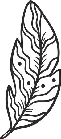 Single feather with wavy lines and dots, hand drawn illustration emphasizing lightness, softness, and delicate details, suitable for various design purposesのイラスト素材