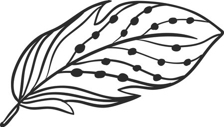 Hand drawn feather featuring intricate black lines and decorative dots, creating an elegant pattern perfect for enhancing various design projects and artistic endeavorsのイラスト素材