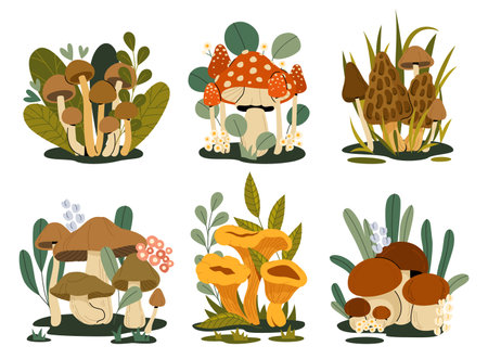 Forest mushrooms. Cartoon autumn shrooms, fungi groups with green leaves, colorful mushroom family growing in forest foliage, russula porcini boletus raw food. Vector fungus setのイラスト素材