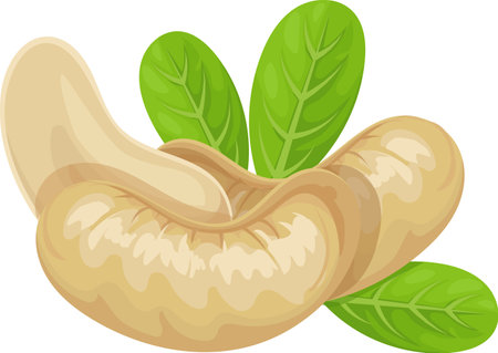 Cashew nuts with green leaves represent a healthy and organic food choice, ideal for vegan or vegetarian diets and promoting a natural lifestyleのイラスト素材