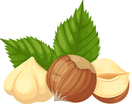 Composition of hazelnuts featuring whole nuts, kernels, and vibrant green leaves, creating an appealing arrangement that highlights their natural beauty and nutritional valueのイラスト素材