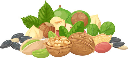 Offering a vibrant assortment of nuts and seeds, featuring walnuts, hazelnuts, pistachios, and more, creating a colorful and nutritious mix that supports a balanced dietのイラスト素材