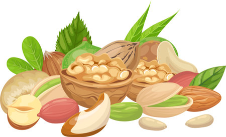 Different kinds of nuts and their green leaves are forming a colorful and delicious mix, promoting a healthy lifestyle with vitamins and vegetable proteinsのイラスト素材
