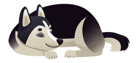 Siberian husky puppy resting peacefully with closed eyes, embodying tranquility and calmness while enjoying a cozy nap, radiating the joy of a beloved companionのイラスト素材